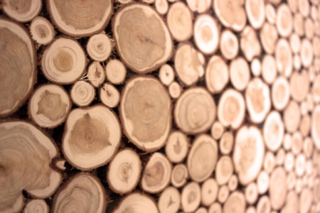 Декоративное панно из можжевельника 500х1200